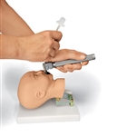 Intubation Head Model