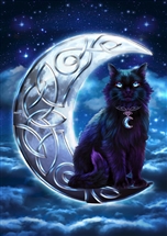 Celtic Black Cat Card - 6 pack