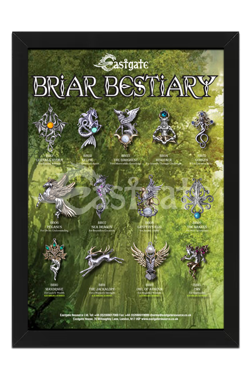 Briar Bestiary Display Frame