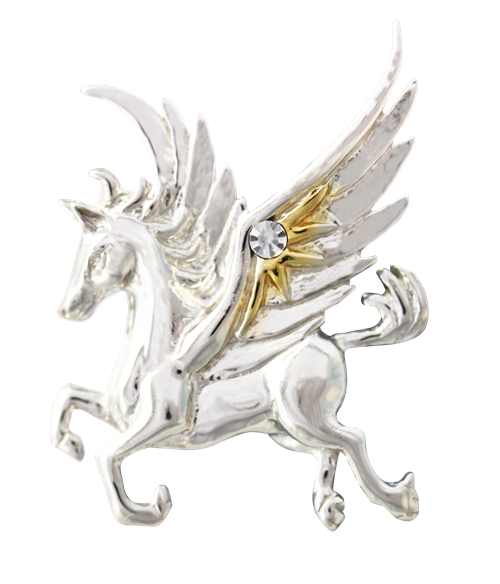 Pegasus of the Stars for Quick Thought & Creativity by Anne Stokes