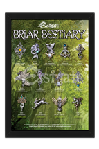 Briar Bestiary Starter Set and Display