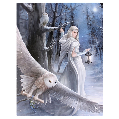 Midnight Messenger Canvas Art Print by Anne Stokes