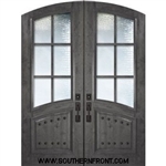 6 Lite SDL Arch Top Arch Lite Arch Panel Double Door