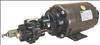 DAYTON , Rotary Gear Pump  Cast Iron  3/4 HP 3 Ph