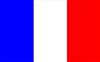 APPROVED VENDOR , France Flag 5x8 Ft Nylon