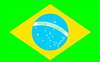 APPROVED VENDOR , Brazil Flag 4x6 Ft Nylon