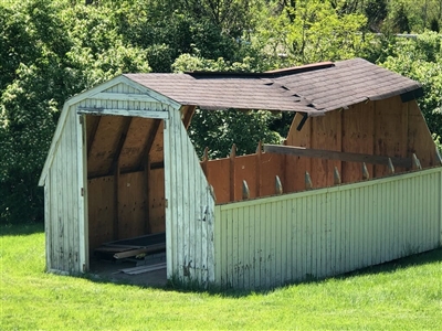 Shed Removal