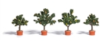 Busch 6619 Potted Trees 1 to 2-1/4" Pkg 4