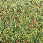 Busch 7221 Large Grass Mat 39-3/8 x 31-1/2" Spring