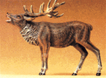 Preiser 47701 1/25 Wild Animal Figures 1/25 Scale Bellowing Stag Elk