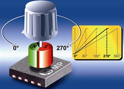 iC-MP DFN10 Sample