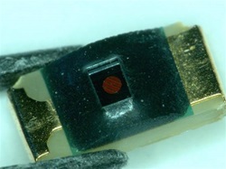 iC-TL6 BLCC2 1206 1R Sample