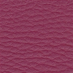 Allure Cranberry