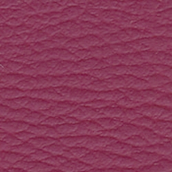 Allure Cranberry