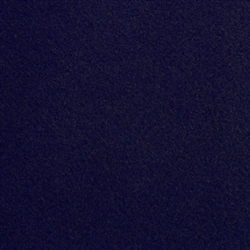 Dark Blue Backless Carpet