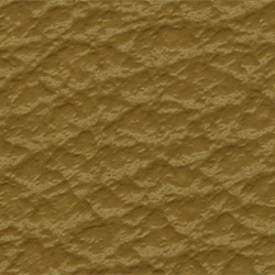 Levant Buckskin