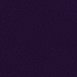 Spirit Millennium Dark Purple