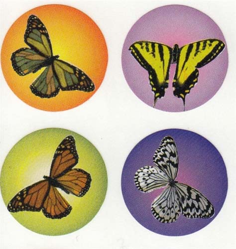 Colorful butterfly stickers