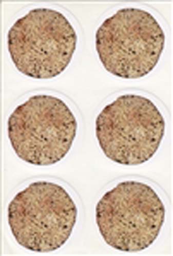 Fun Matzah Stickers for Passover Crafts