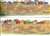 Jerusalem Holy City Bulletin Border - 4 in. x 23 in. - 12 pack