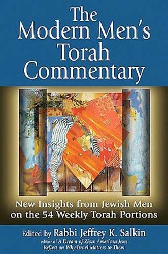 Modern Men's Torah Commentary