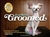 Groomed!  by Jess Rona, [dog] groomer for the stars!