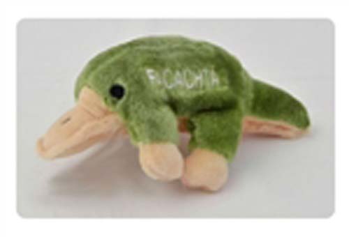 Facahta Platypus Kosher Doggy Toy!
