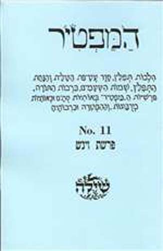 Bar/Bat Mitzvah Preparation Booklet:  HaMaftir 11: Vayigash including maftir and haftarah readings