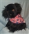 Stars and Stripes Sparkling Doggy Bandana