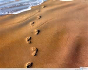 Walking to Freedom: Foot Prints in Sands of Israel