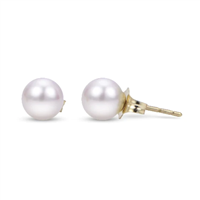 Classic Pearl Earrings 6-6.5mm in 14K