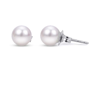 Classic Pearl Earrings 7-7.5mm in 14K