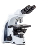 Euromex iScope LED  phase microscope with tilting bino head