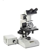 Euromex binocular metallurgical microscope