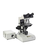 Euromex binocular polarizing microscope