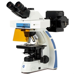 EUROMEX trinocular microscope for fluorescence