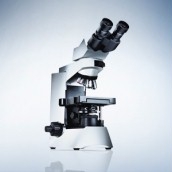 Olympus CX41 microscope