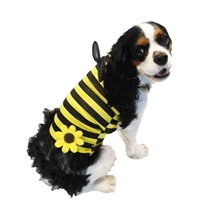 Daisy Bee Puppy * 21017