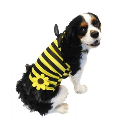 Daisy Bee Puppy * 21017