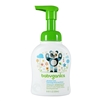 Alchohol-Free Foaming Hand Sanitizer Fragrance Free - 8.45 oz. (Babyganics)