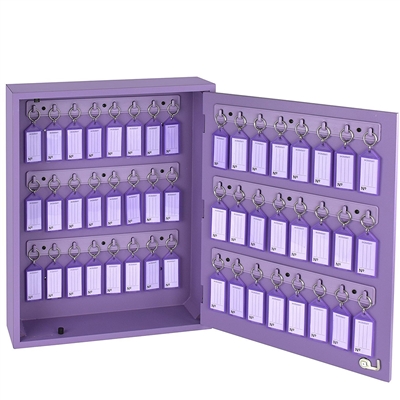 Acrimet Key Cabinet Organizer 48 Positions with Lock (Wall Mount) (48 Purple Tags Included) (Purple Cabinet)