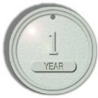 1 Year Chip