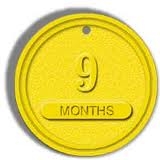 9 month chip