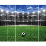 walltastic football crazy wallpaper mural