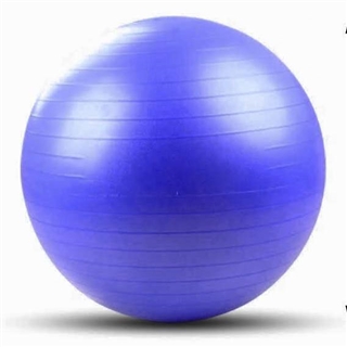 French Fitness Anti Burst Stability Exercise Ball 65cm Image