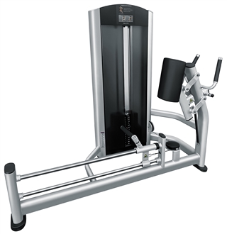 French Fitness FFS Silver Glute Machine Image