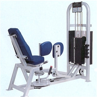 Life Fitness Pro1 Hip Abductor Image