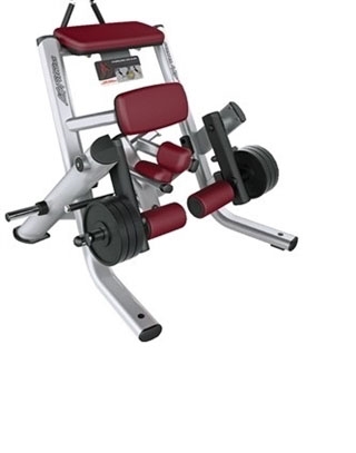 Life Fitness Signature Series Kneeling Leg Curl Image