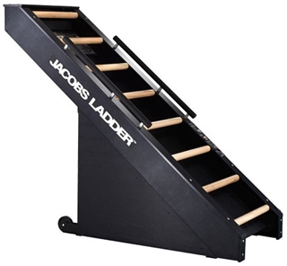 Jacobs Ladder Exercise Machine Image