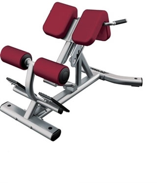 Life Fitness Signature Series Back Extension SBE Image